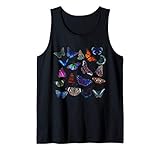 Colección InGENIUS Butterfly
