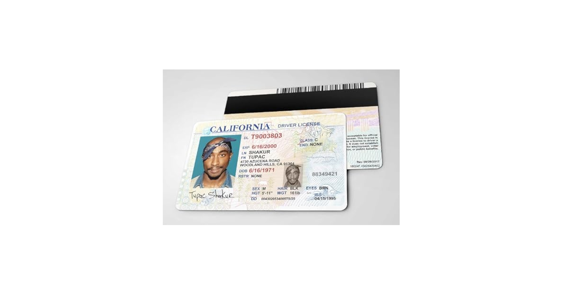 MAKAVELZY☆2Pac ☆確実本物200体限定品152☆プラスチックセル