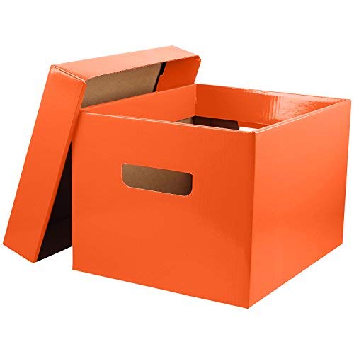 image for My Charity Boxes Tote and Store Box Lightweight Storage Organizer for 