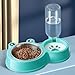 IEUDNS Dog Cat Feeder Water Dispenser Stainless Steel Pet Feeding Station,Large Capacity,Drinker Dish,Pet Water and Food Bowl Set, Blue