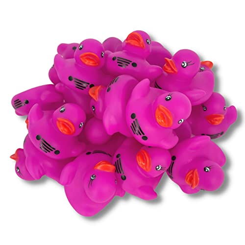 Crafters Cup VHOB You've Been Ducked Rubber Ducks | Bulk 20 Pack | Rubber Ducky 2.25 inches Wide and 1.75 inches Tall | Use with Duck Duck Tags | Tuscadero Pink Duck (Pink Rubber Ducks)