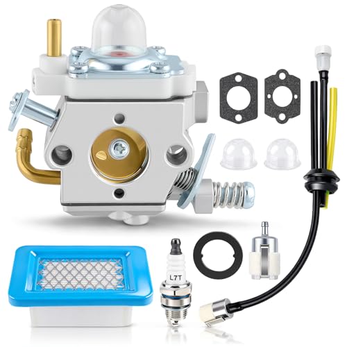 PB-580T Carburetor for Echo PB580T PB-580H Shindaiwa EB600RT Blower Parts Replace WTA-35 A021004330 A021004331 with A226000032 Air Filter