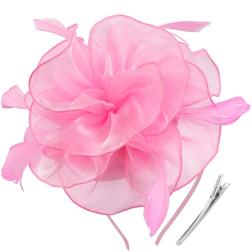 Image of DRESHOW Fascinators Hat Tea Party Headwear Ribbons Feathers on a Headband and a Clip for Women