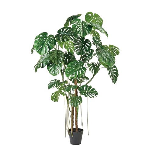 ������(Tokyodo) ���q��֕s�������X�e���W���C���g�|�b�g W200×H240cm ����28×H25cm 1�� FG001550-zzz