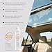 Lesyia Car Glass Oil Film Cleaning Agent, Lesiya Car Lens Cleaner, Wind Shield Cleaner, Efficient Cars Glass Oil Film Cleaner for Auto Glasss, Improves Clarity And Visibility (1)