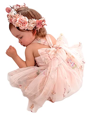 FIOMVA Baby Girl Lace Romper Bodysuit Outfits for Birthday,photoshoot,photography,Cake Smash,Gift