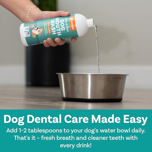 Dogmouthwashdentalwateradditiveforfreshbreathplaquetartarcontrolbestnaturalcleaningfreshenerformulaforhealthyteethgumsadvancedeasytouseoralcaresolution Urban Country Home Decor Dog mouthwash dental water additive for fresh breath plaque tartar control best natural cleaning freshener formula for healthy teeth gums advanced easy to use oral care solution urban country home decor