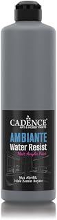 Cadence AMBIENTE SUYA DAY. AKR. BOYA AW-22 GRAFİTİ GRİ 500ML + KATALİZÖR 20GR