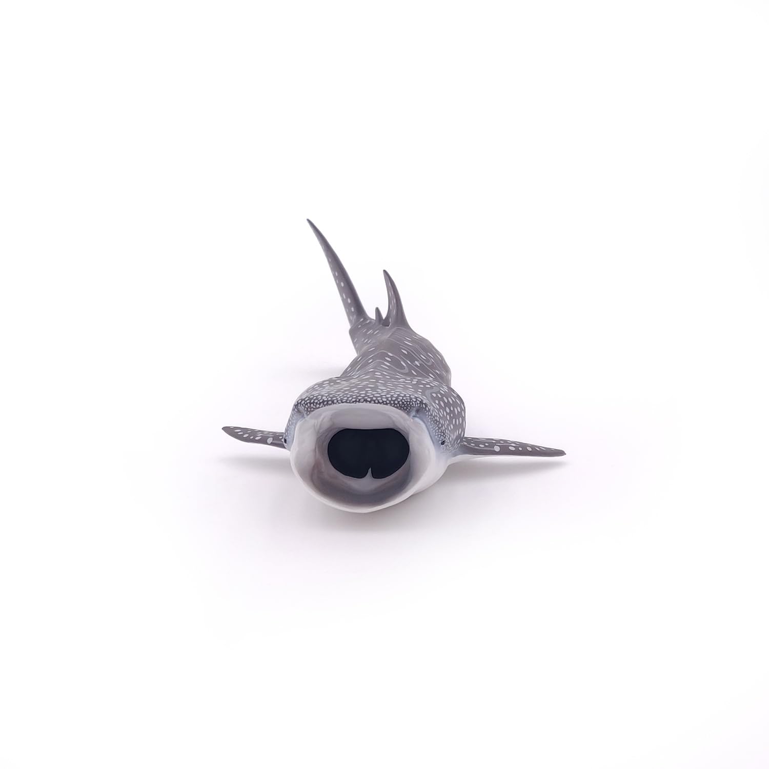 Papo, Realistic Whale Shark Figure Toy for Kids, Ages 3+, Marine Life Collection, Educational Play Marine Exploration - Image 4