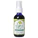 Flower Essence Biodynamic Dandelion Dynamo Pump Top - 2 fl oz