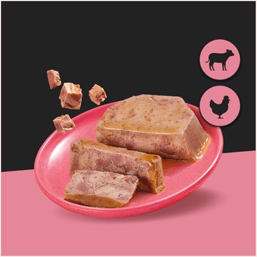 Cesar Klassik-Terrine Adult Schale 14 x 150g mit Stückchen reich an Kalb und Geflügel in Pastete (14er-Packung)