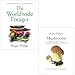 Produktbild Foblit ltd Roger Phillips Collection 2 Bücher-Set (The Worldwide Forager [Hardcover & Pilze)