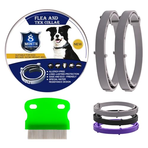 LUSARIS - Pack 2 Collar Antiparasitario Perros + Peine Antipulgas - Collar Antipulgas Perros con 8 Meses de Protección contra Garrapatas y Pulgas - Collar Perro Antiparasitario Talla Única