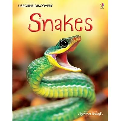 Discovery Snakes