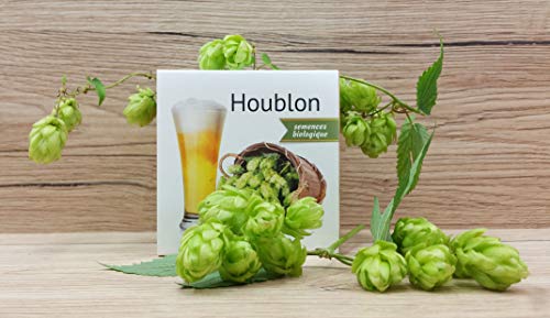 Hopfen-Samen Feel Green Ecocube 296343 für die eigene Anzucht
