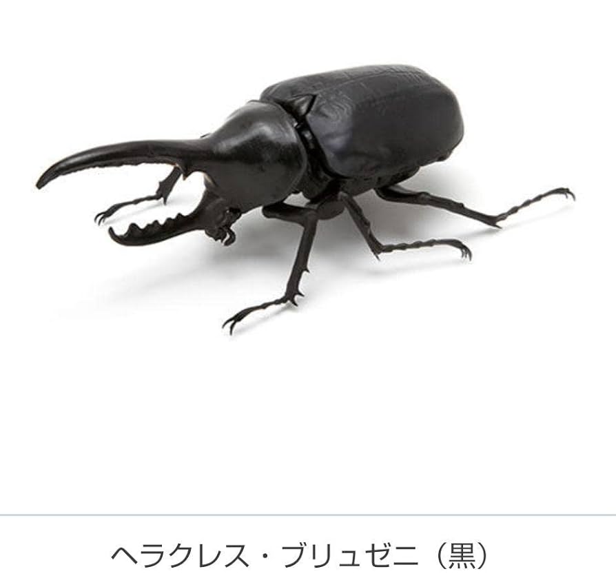 Amazon | いきもの大図鑑 かぶとむし 第1弾 6種類 大人ガチャ