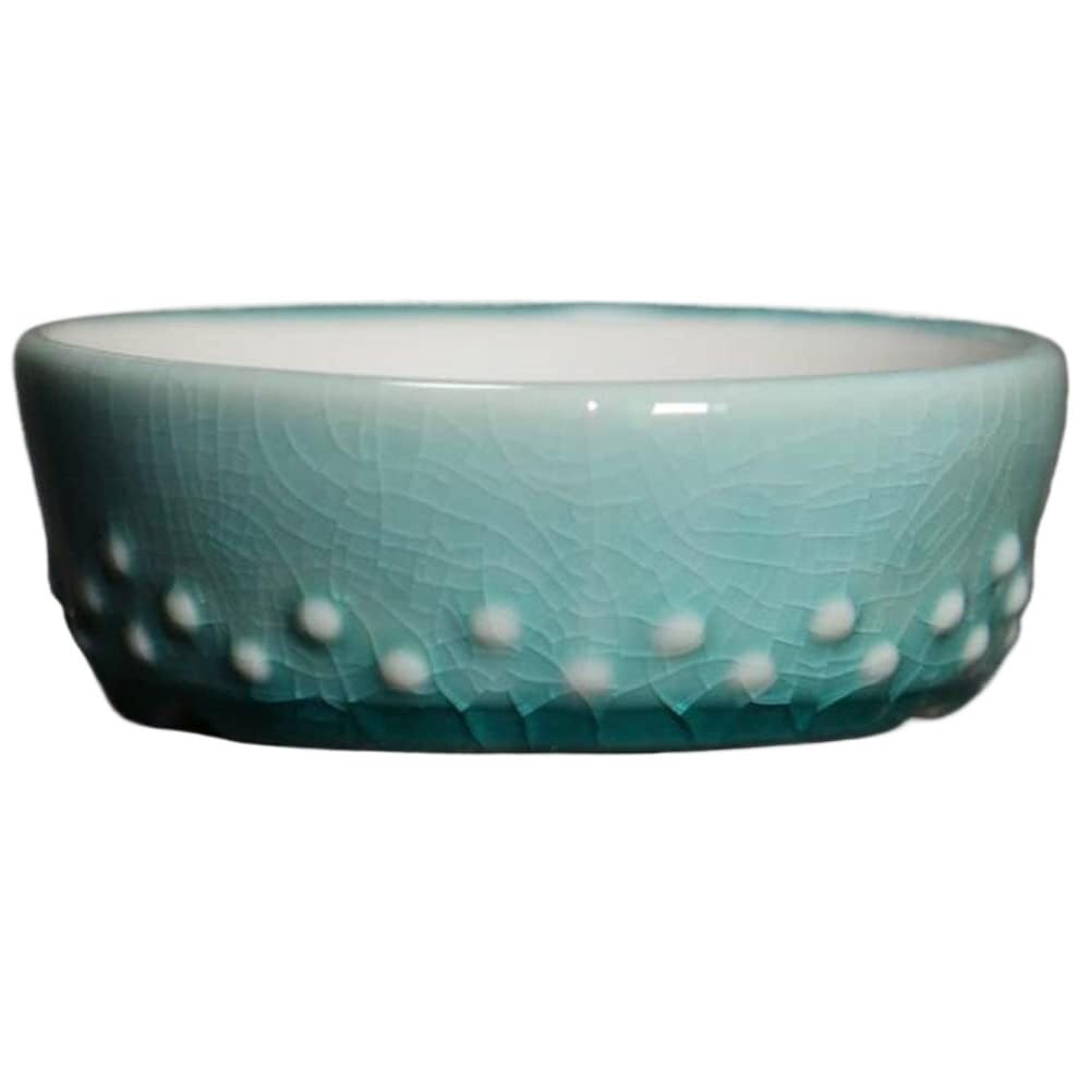 Pot de bonsaï en céramique haut de gamme et décoration de table épurée