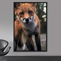 Framed Canvas Wall Art Red Fox Animals Contemporary Expressive Fox Living Room Multicolor Photography - 16x24 inches