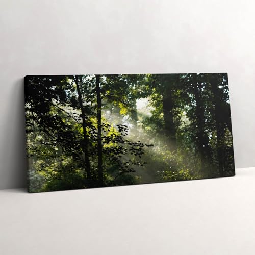 Image sur toile 120x60cm de forêt ensoleillée - Grand tableau mural