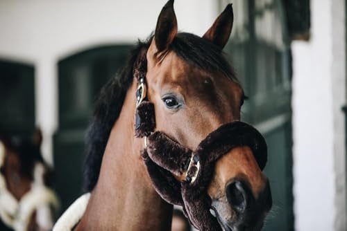 Cabestro Kentucky de lana sintética marrón para caballo 4