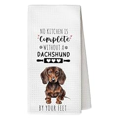 Dachshund