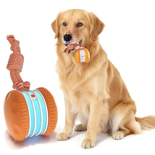 Briocht Interactive Dog Ball