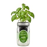 Environet Hydroponic Growing Kit, Self-Watering Mason Jar Herb Garden Starter Kit Indoor, Windowsill Herb Garden, Grow Your Own Herbs from Organic Seeds (Basil)