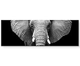Alle Bilder sind in verschiedenen Formaten erhältlich. Ganz sicher findet sich für jeden Raum das perfekte Motiv in der dazu passenden Größe.
