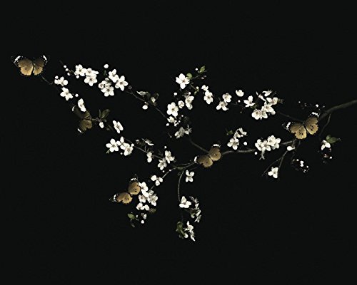 Ian Winstanley (Blossom & Butterflies Canvas, Multi-Colour, 40 x 50 cm