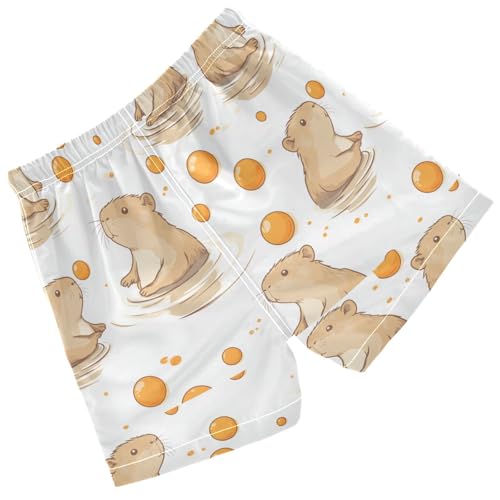 Pigsaly Boys' Swim Board Shorts Cute Capybara Balls Boy's Swim Trunks Kids Swimwear 3T Multicolor2