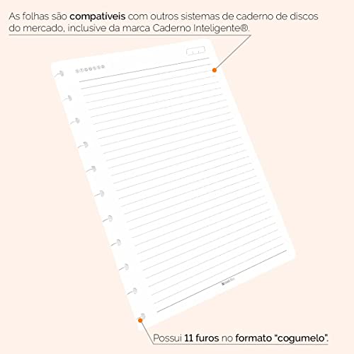 Refil Caderno De Disco ISCOOL Pautado Classic 100 F 90g G