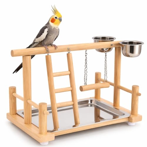 Image of KSK 17 Inch Bird Stand Perch with Food Cup - Wooden Parrot Playground & Activity Center - Bird Training Gym for Cockatiels, Conures, Lovebirds, Budgies & Small Parrots