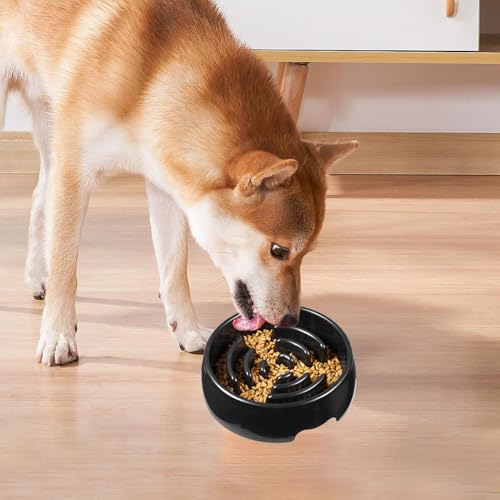 Gamelle d'alimentation lente pour chien - Design ergonomique et durable - 4