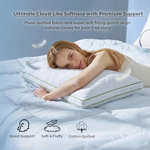 Image of AYKA Ultimate Quilted Bed Pillow Set of 2 | 100% Virgin Microfiber Filling for Neck & Shoulder Support | 17x27 inch Breathable Hotel Quality Pillows | Never Flat, Anti-Bacterial | Supersoft