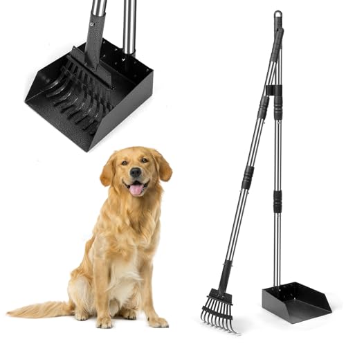 YGNNXRN Ramasse crottes pour Chien avec Manche Long de 96 cm – râteau et bac en métal détachables – pour Chiens Grands, Moyens et Petits – Idéal...