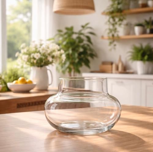 Image of Glass pots for Two Layer Lucky Bamboo or Money Plant - Transperant Clear Glass Bowl Round Shape Pot Planter (Bamboo Pot, 1)