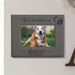 Kate Posh  Your Paw Prints Are Forever in Our Hearts Engraved Leather Picture Frame Memorial Pet Gift Loss of Dog and Cat Pet Sympathy Gift in Memory of 5 X 7 Horizontal  Cucciolini Doodles Kate posh  your paw prints are forever in our hearts Engraved leather picture frame Memorial pet gift loss of dog and cat pet sympathy gift in memory of 5 x 7 horizontal   cucciolini doodles