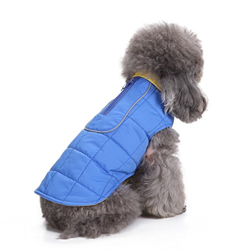 Chaqueta para perros pequeños con anillo en d ropa de abrigo cortavientos azul para mascotas