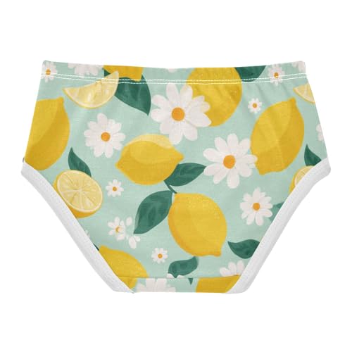 Wusikd Lemon Daisy Girls' Underwear Cotton Girls Briefs Soft Toddler Underwear 2T2