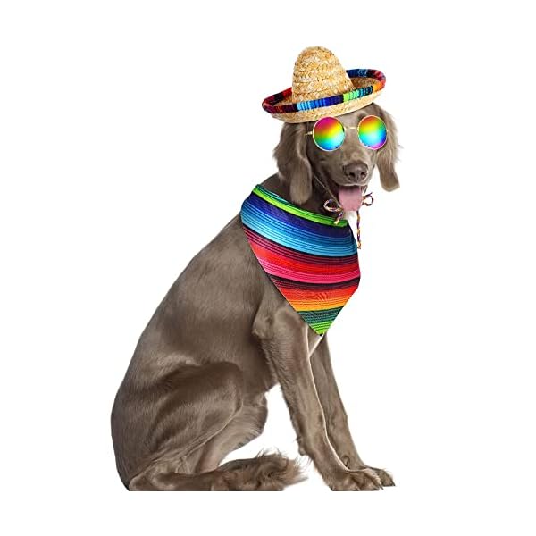 3 pcs mexican sombrero hat pet serape poncho costume include multicolor cinco de mayo dog bandana fiesta triangle bib dog sombrero hat round sunglasses costume for dog gifts cinco de mayo party decor - image 8