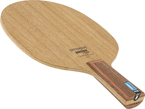 Image of STIGA GA302665 Table Tennis Racket Banda Offensive