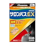 �T�����p�XEX���� 20��