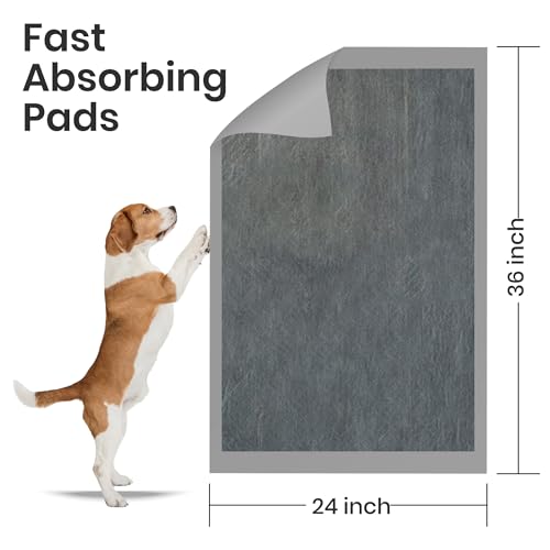 Image of FPN Puppy Pads for Dogs Charcoal | Disposable Pee Pads for Puppies & Small Dogs | Pet Training Pads for Potty Training, Small Dog Pee Pads, Puppy Pads Bulk (25, 24x36 Inch)