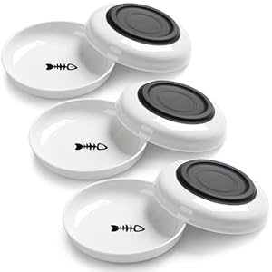 Cuencos para gatos sin derrames, cuenco de comida para gatos, antifatiga y antifatiga, juego de platos de cerámica saludables para gatos de interior, platos anchos poco profundos para comida y