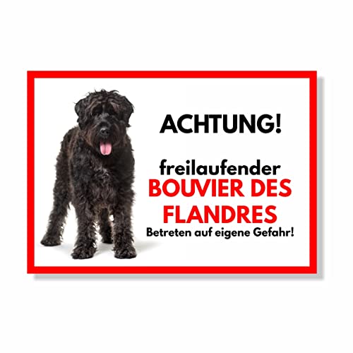 Bouvier Des Flandres Freilaufender Hund Dog Schild Spruch Türschild Hundeschild Warnschild Geschenkidee Sicherheitsschild Hund Privatgrundstück Hundewarnung Warnung vor dem Hund