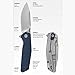 Kershaw Lucid Pocket Knife, 3.2 Inch Stainless Steel Clip Point Plain Edge Blade, EDC with Assisted Opening, Reversible Deep-Carry Pocketclip, Everyday Carry Pocket Knife for Men and Women