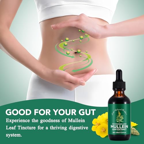 Mullein Leaf Extract,Königskerze-Extrakt,Natürliche Reinigung, vegetarischer gesunder Lebensstil 60ML