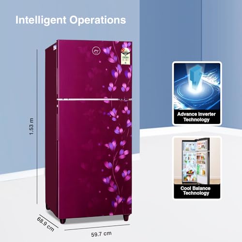 Image of Godrej 253 L 2 Star Farm Freshness Upto 24 Days Inverter Frost Free Double Door Refrigerator Appliance (Nano Shield Technology, RT EONALPHA 270B 25 RI JD WN, Jade wine)