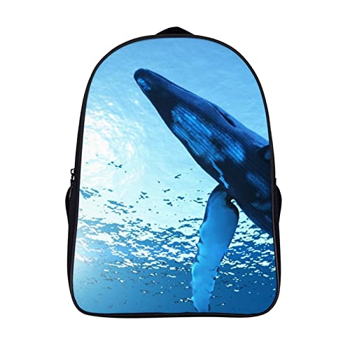 Sac à dos léger pour enfants évitant la fatigue du dos pour l'école maternelle