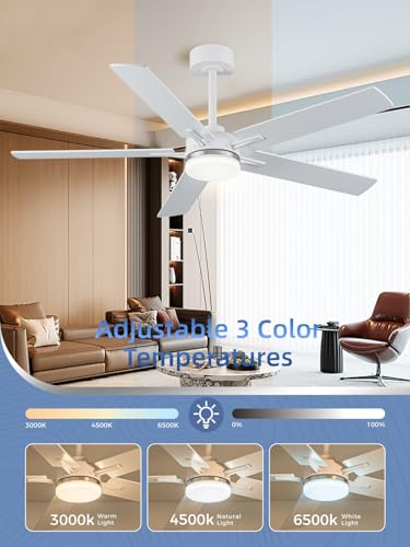 Image of LANMEL Ceiling Fan with Light, Modern Flush Mount Low Profile with Remote Control, Reversible, 3CCT Dimmable, Quiet,LED for Bedroom, Living Room, Indoor /Outdoor Patio Use 52 Inch Silver & White